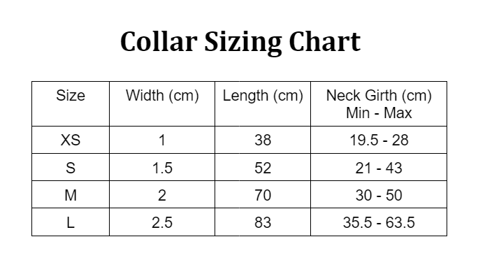 Galaxy Pet Collar with Metal Buckle